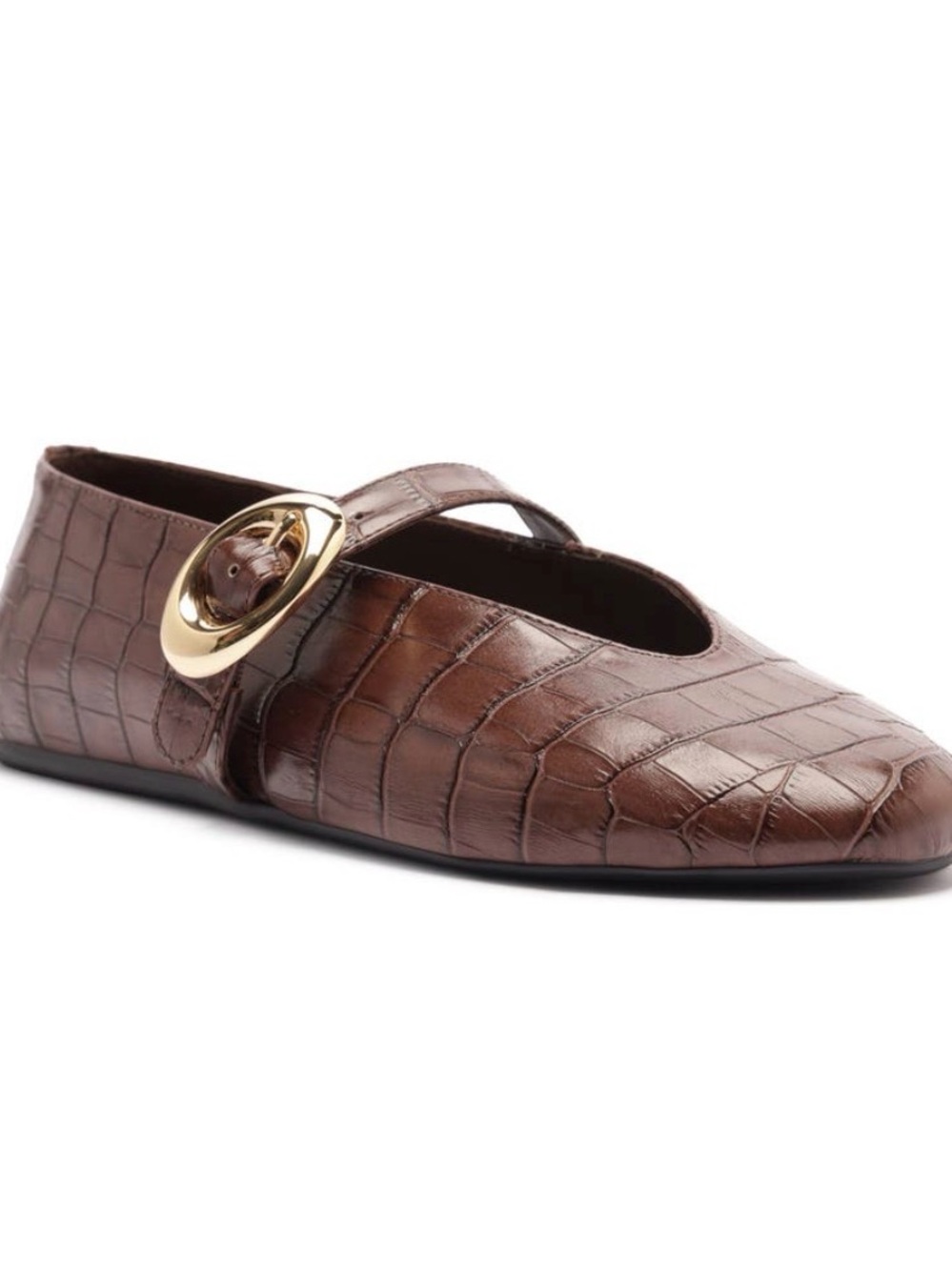 NWOT Arezzo Brown Croc-Embossed Mary Jane Flats